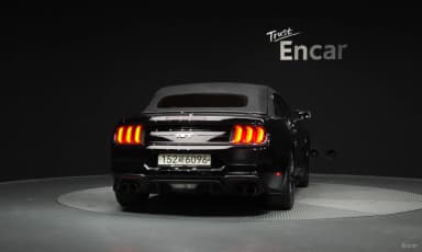 Mustang