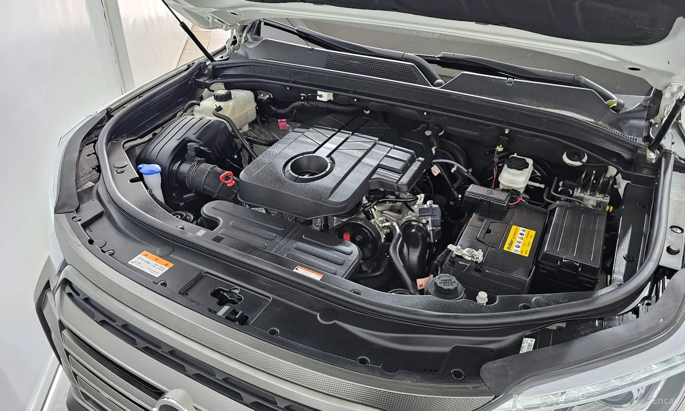 Rexton Sports