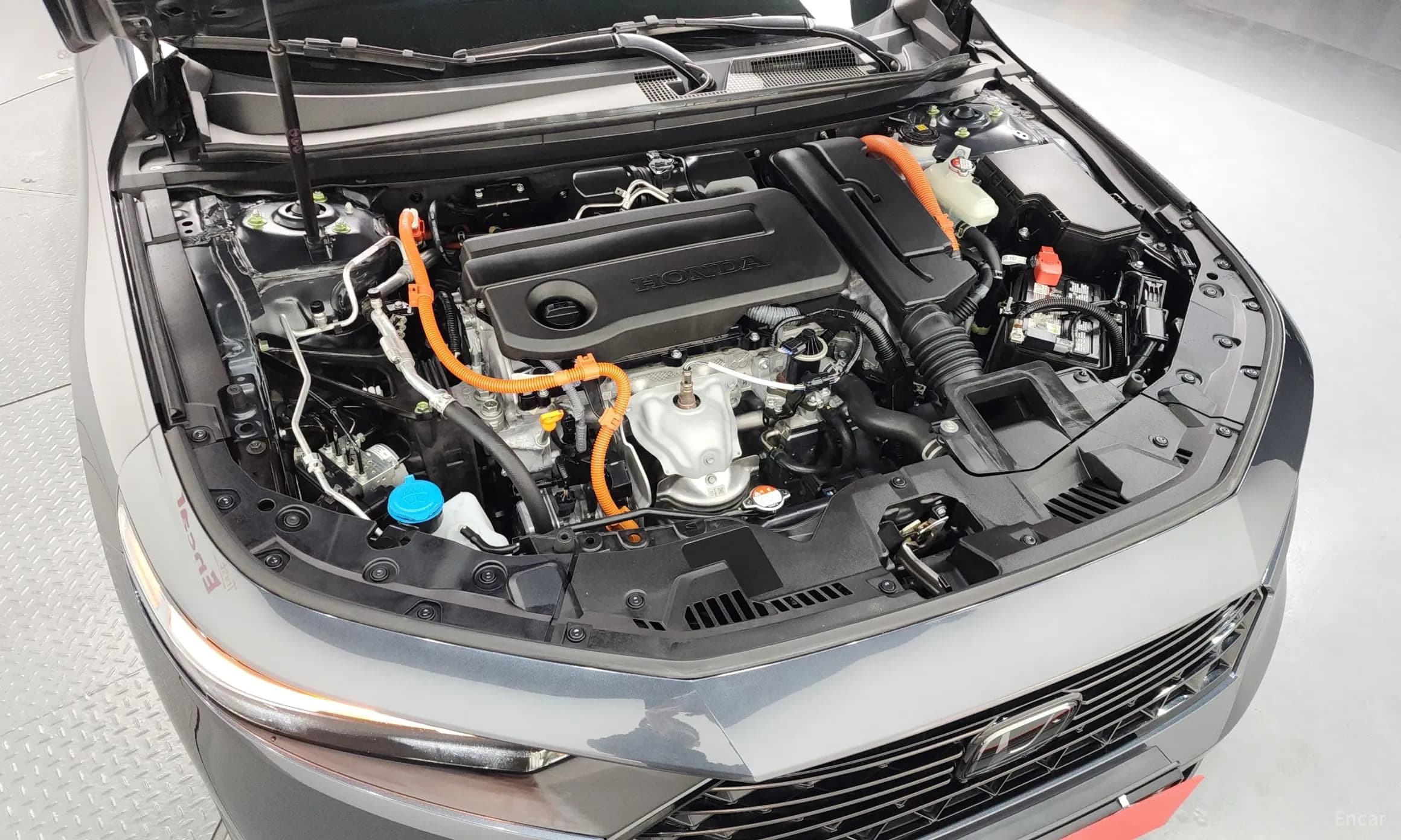 Accord 11th Generation