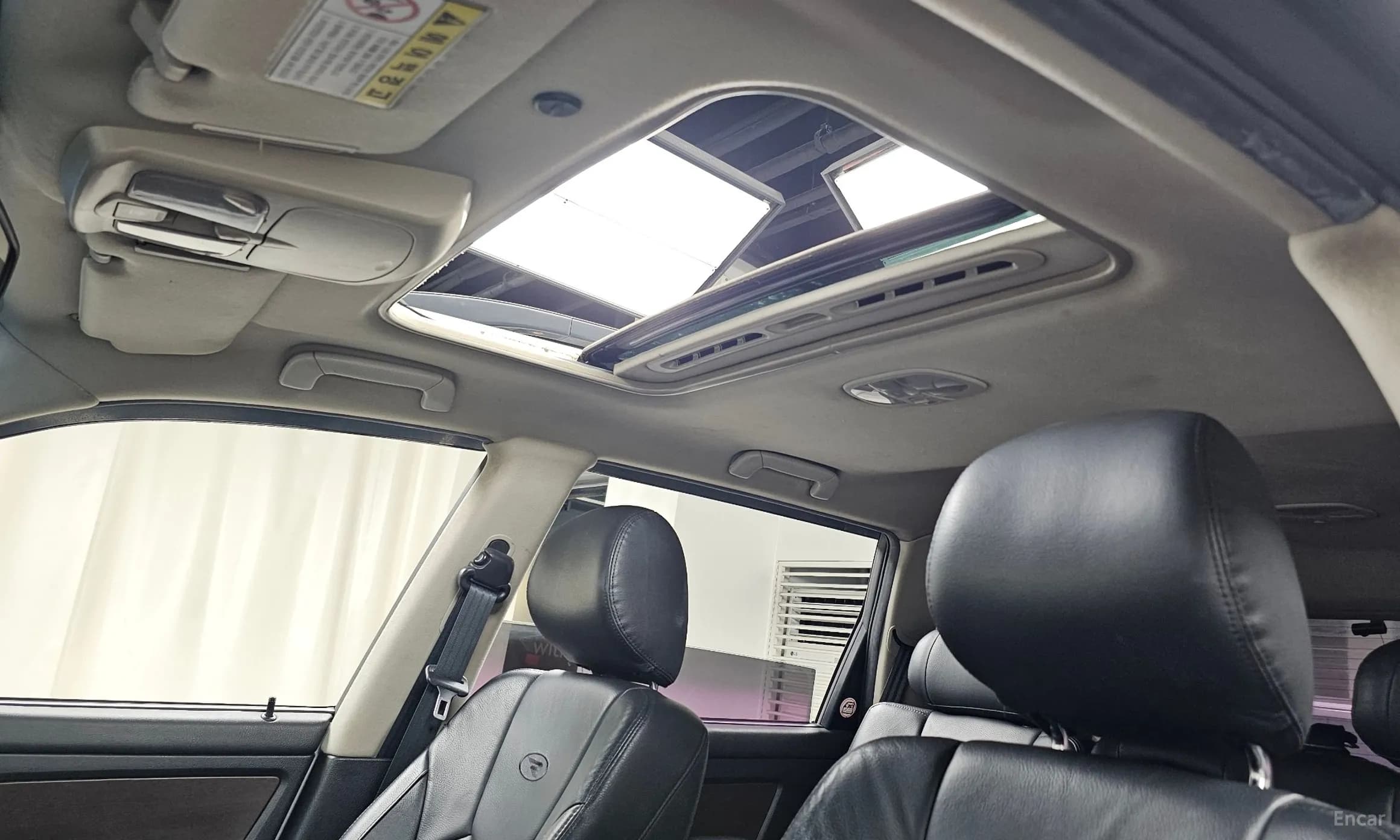 Rexton W