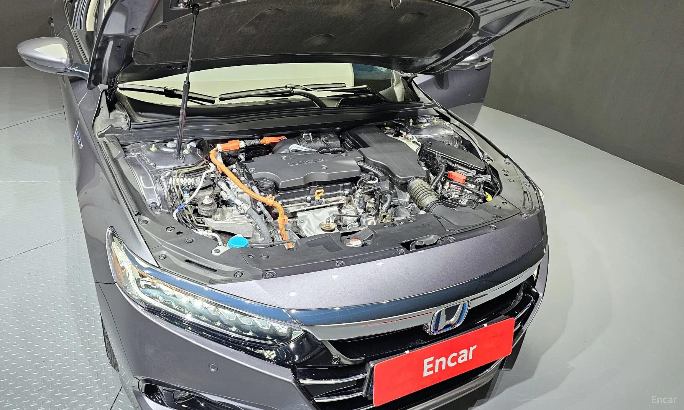 Accord 10th Generation