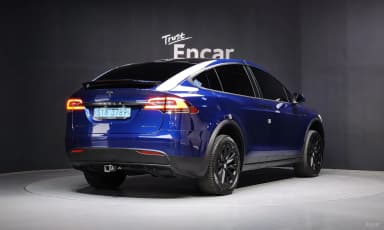 Model X
