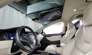 Model X