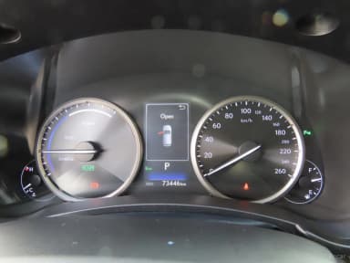 NX300
