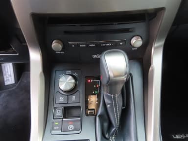 NX300