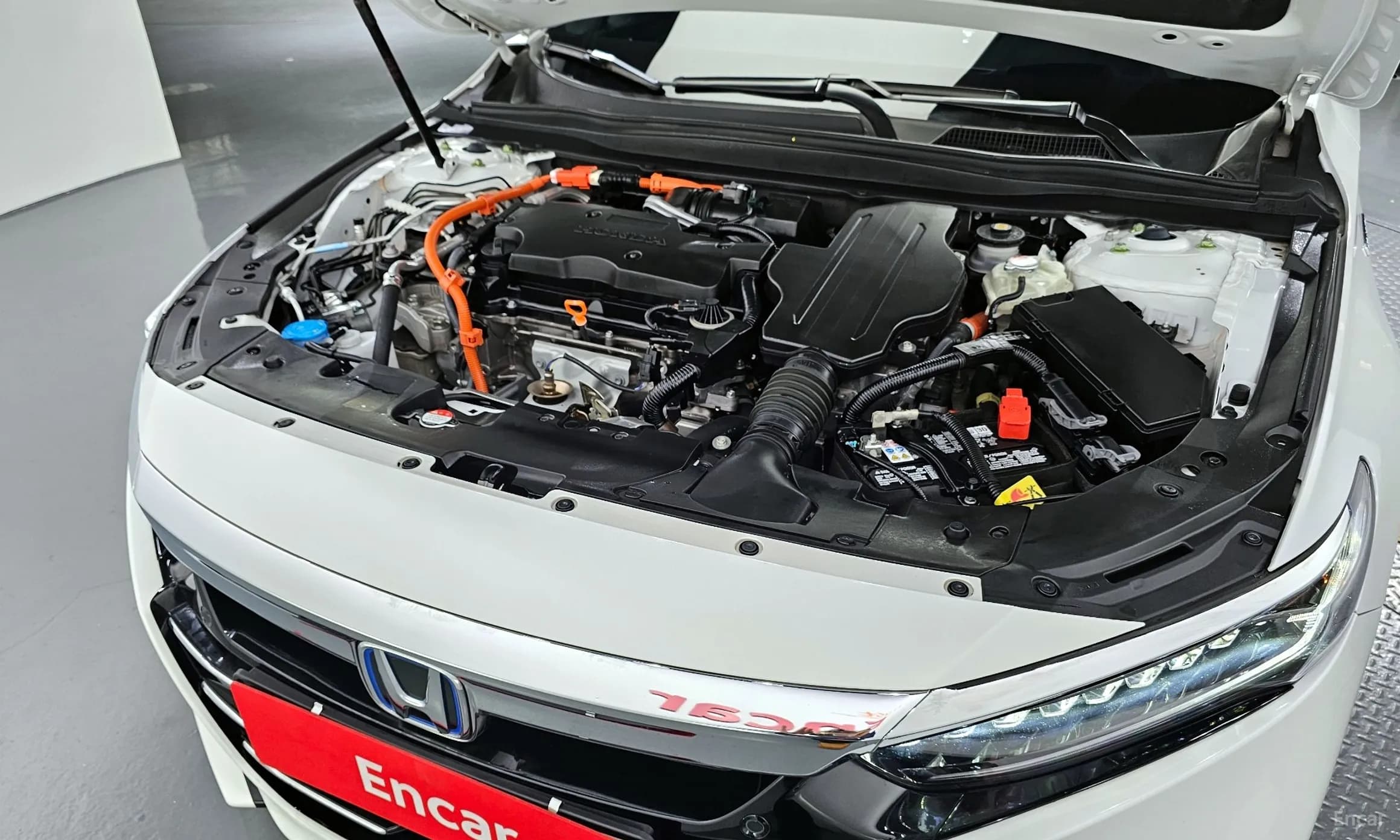 Accord 10th Generation