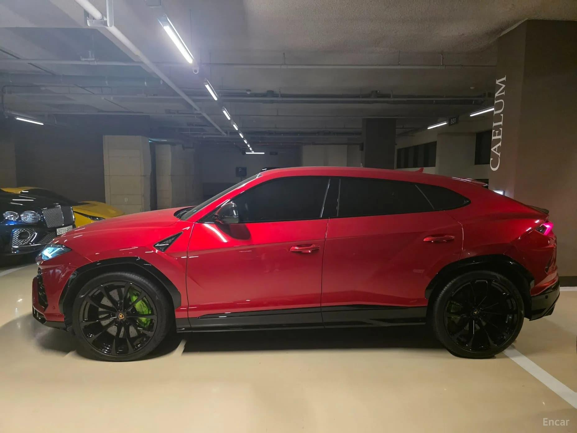 Urus