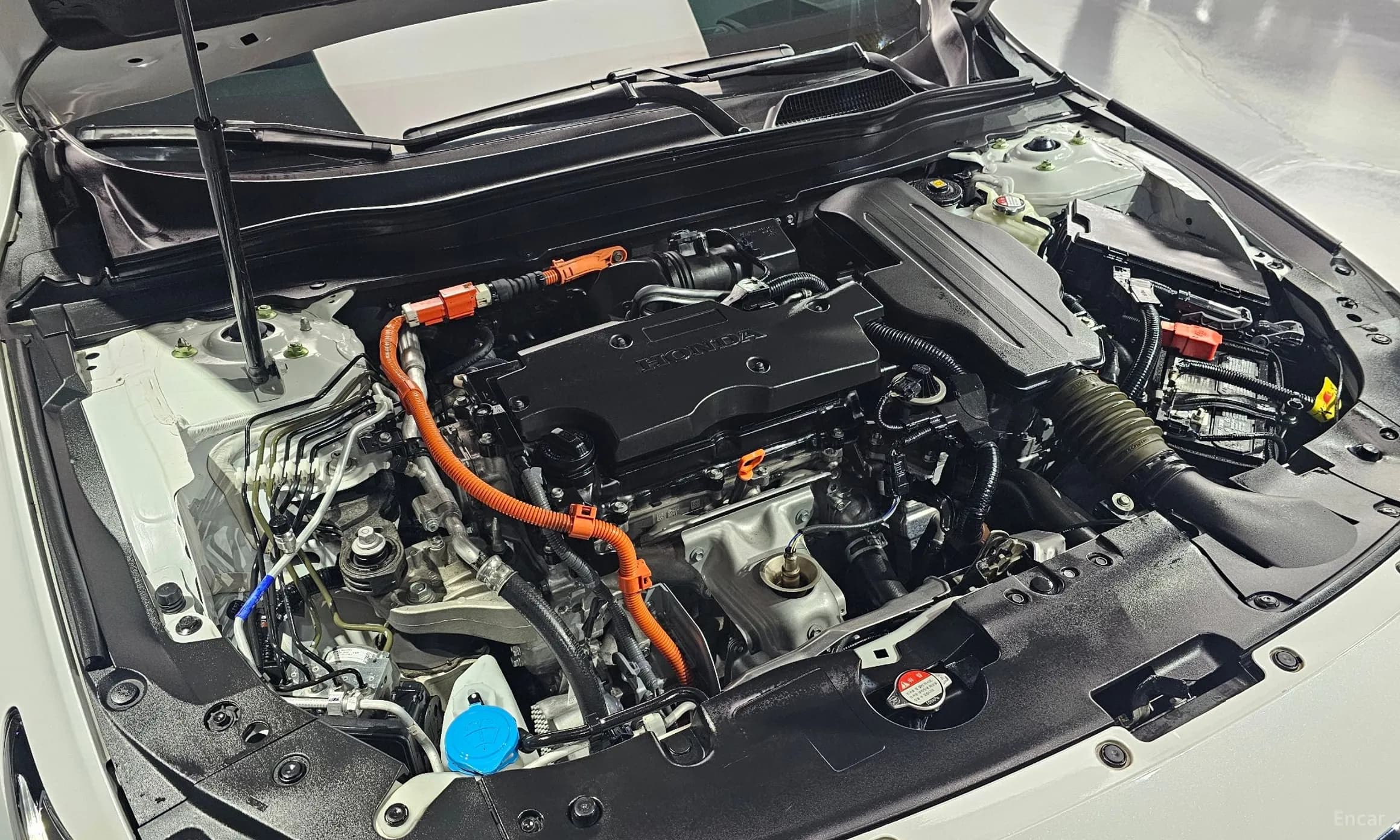 Accord 10th Generation