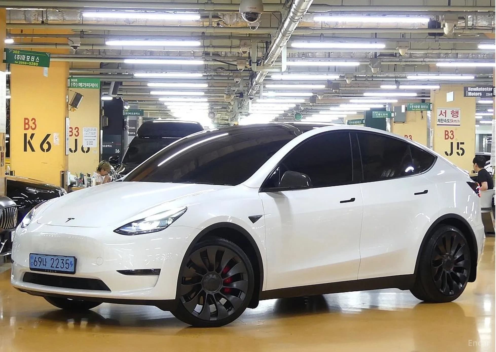 Model Y