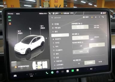 Model Y