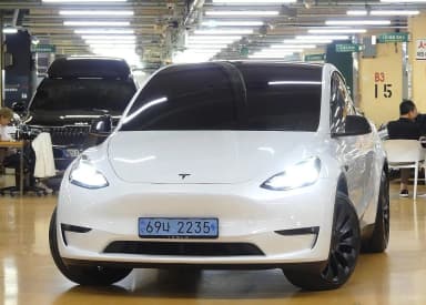 Model Y