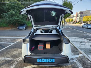 Model Y