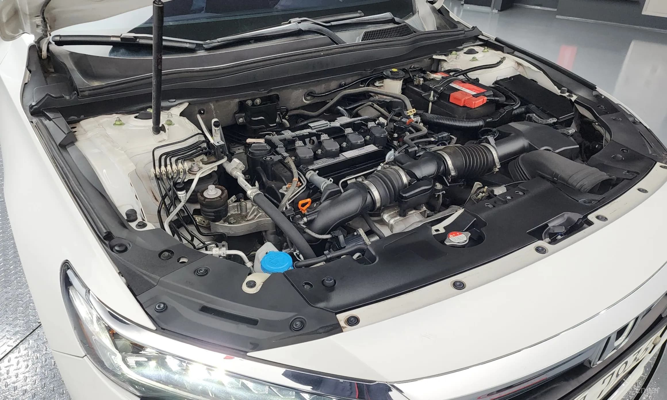 Accord 10th Generation