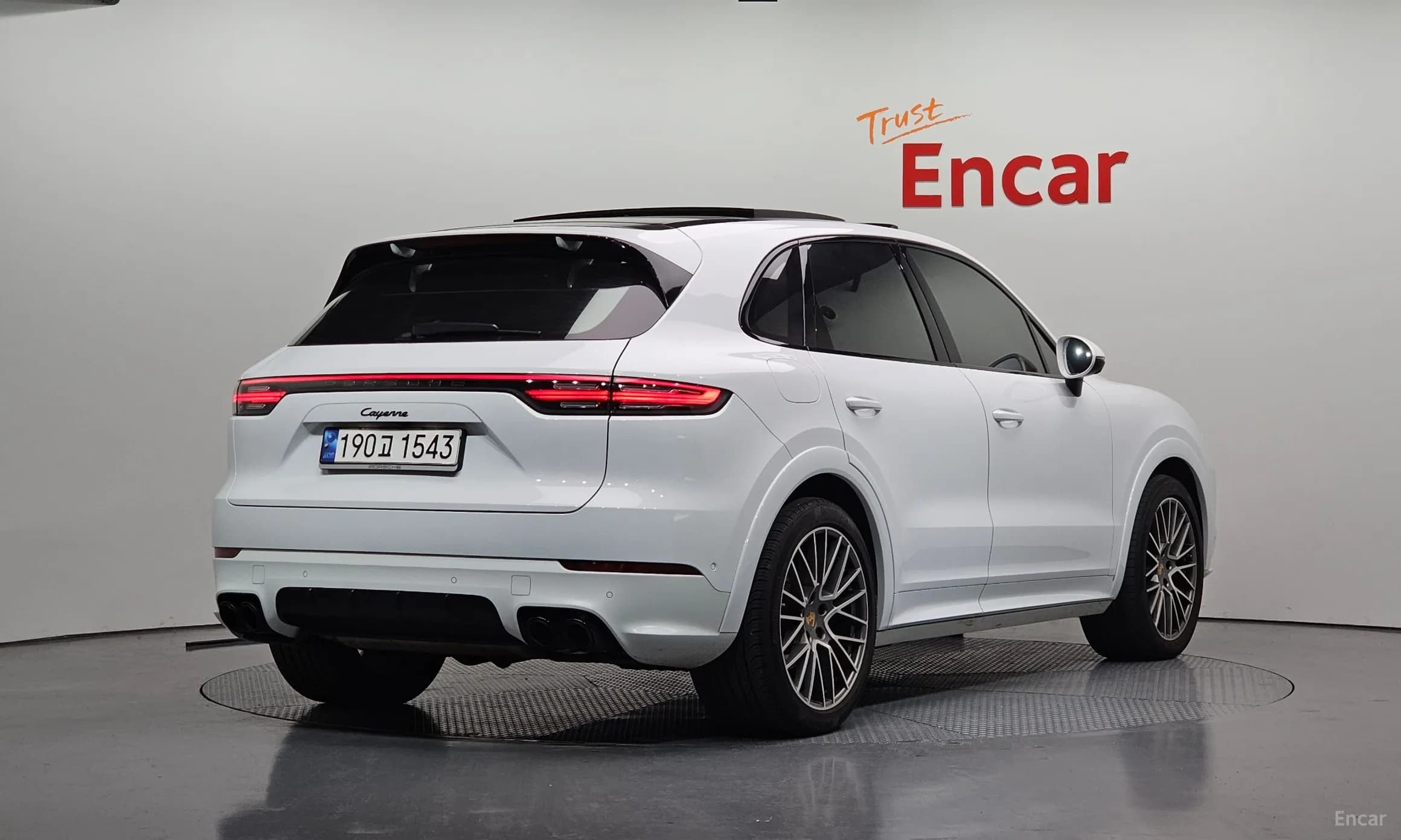 Cayenne (PO536)