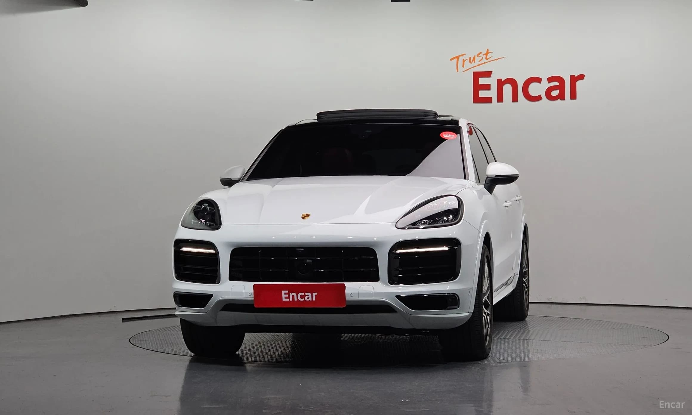 Cayenne (PO536)
