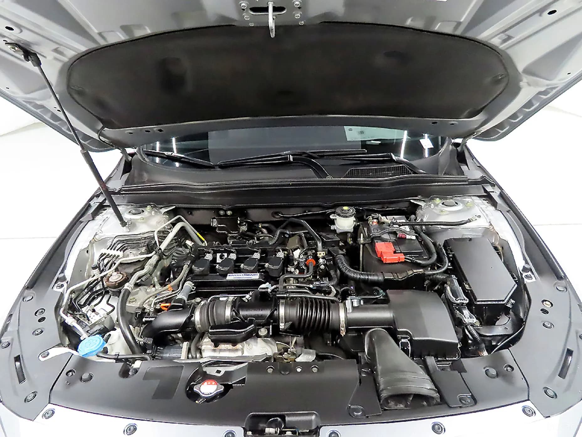 Accord 10th Generation