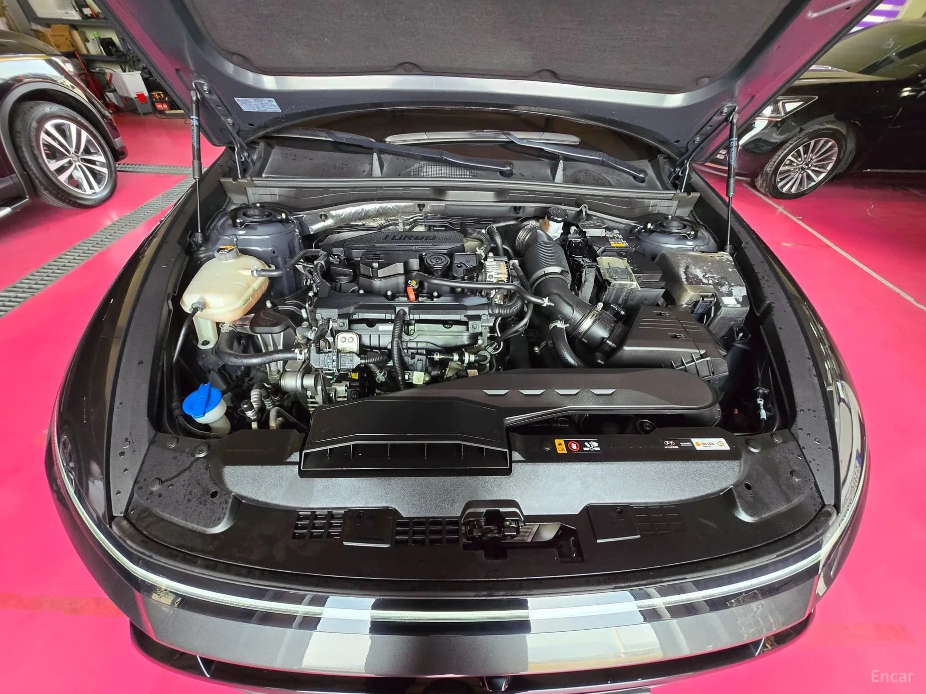 Sonata The Edge (DN8)