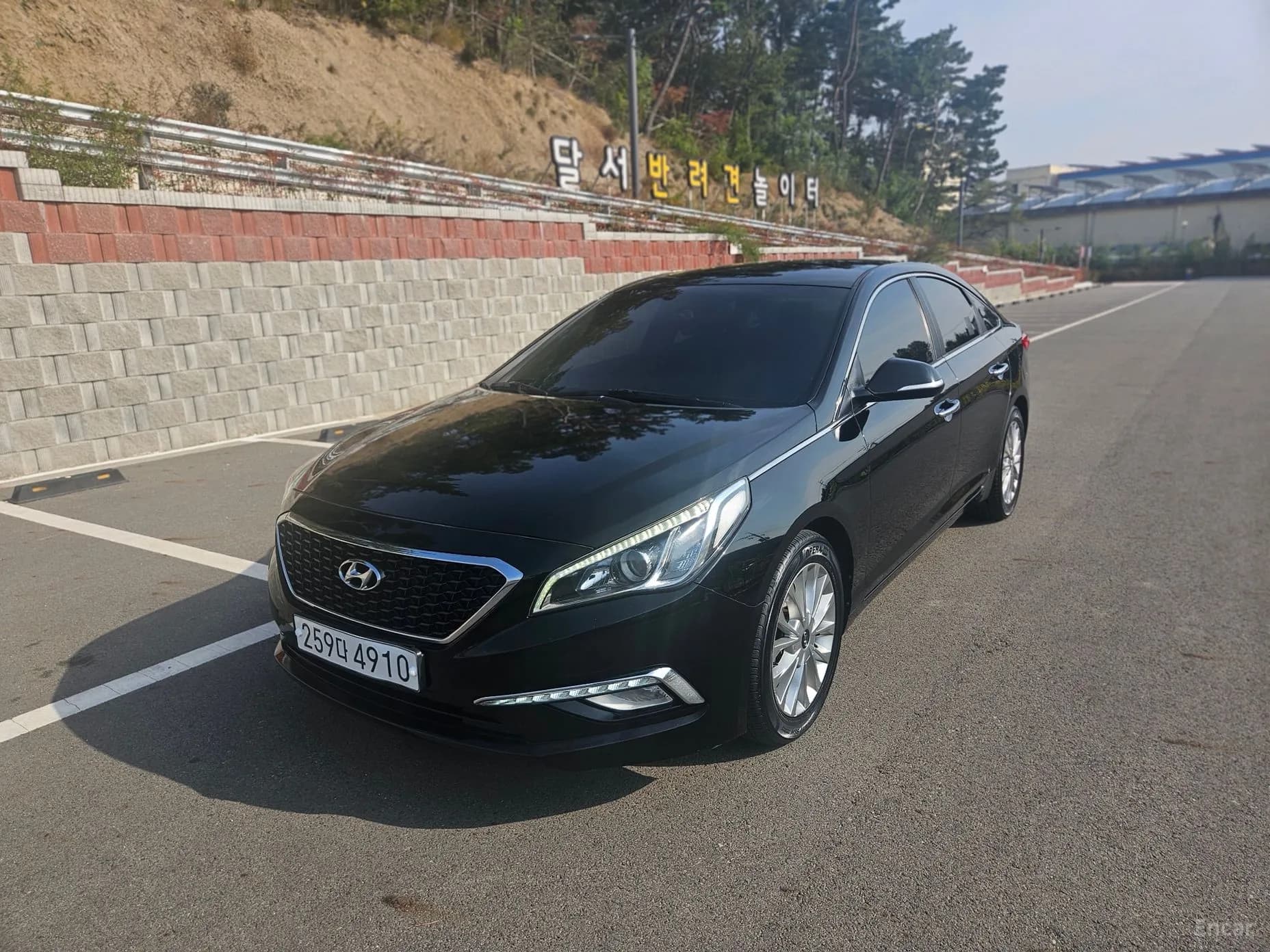 LF Sonata