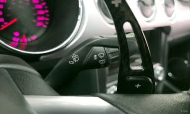 Mustang