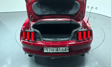 Mustang