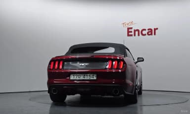 Mustang