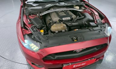 Mustang