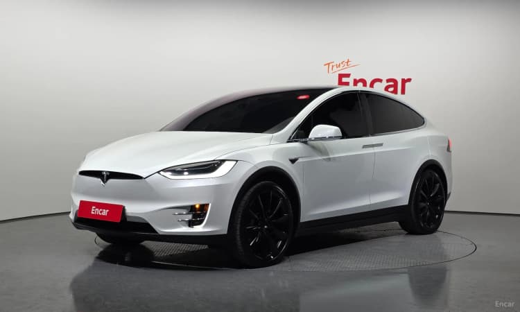 Model X