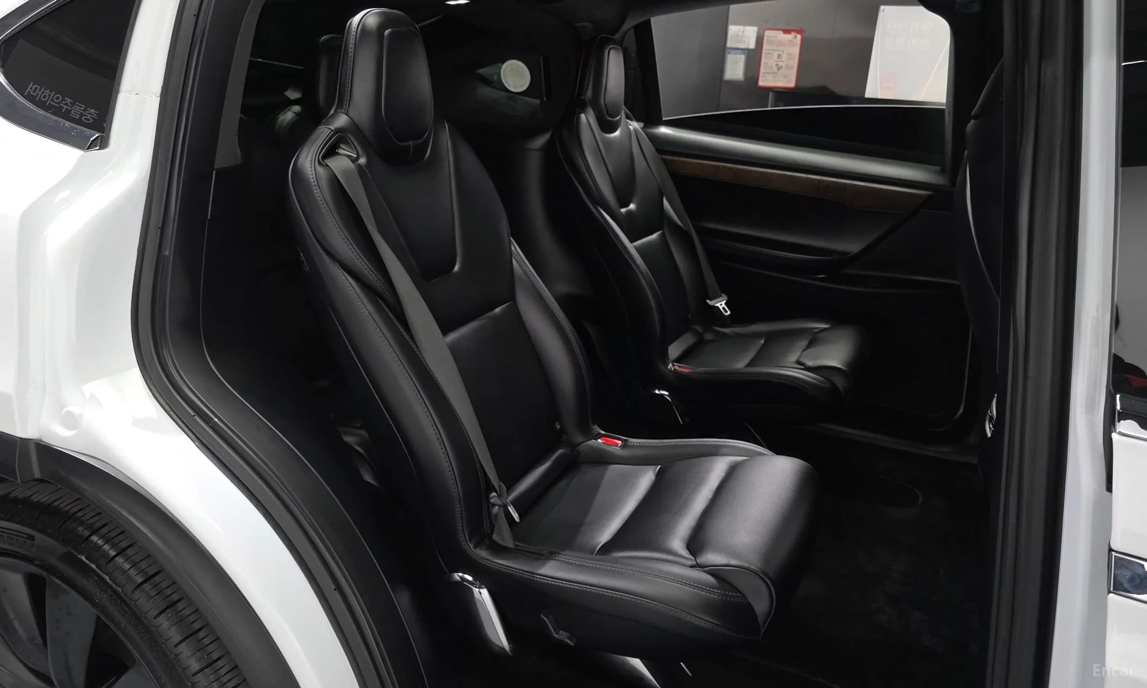 Model X