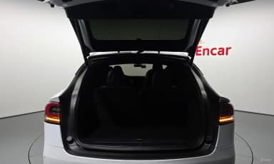 Model X