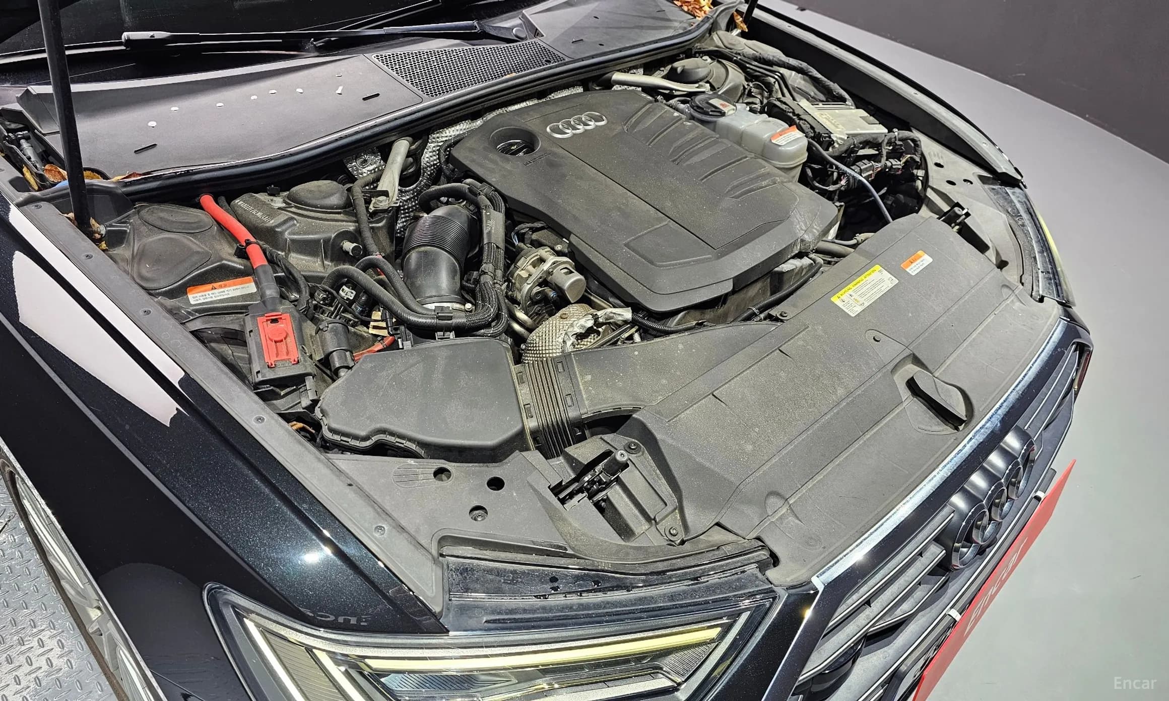 A6 (C8)
