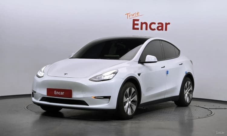 Model Y