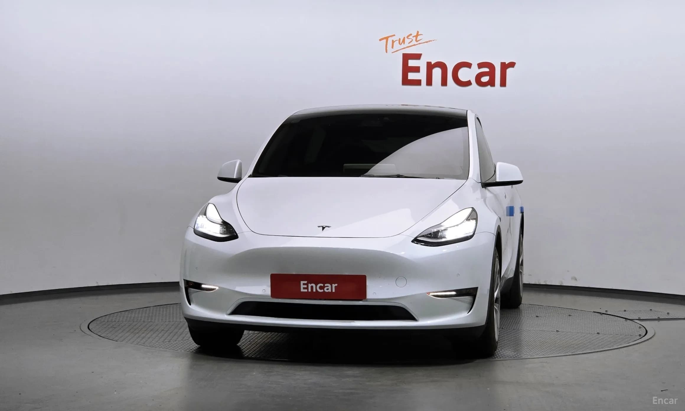 Model Y
