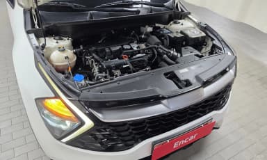 Sportage 5th Generation
