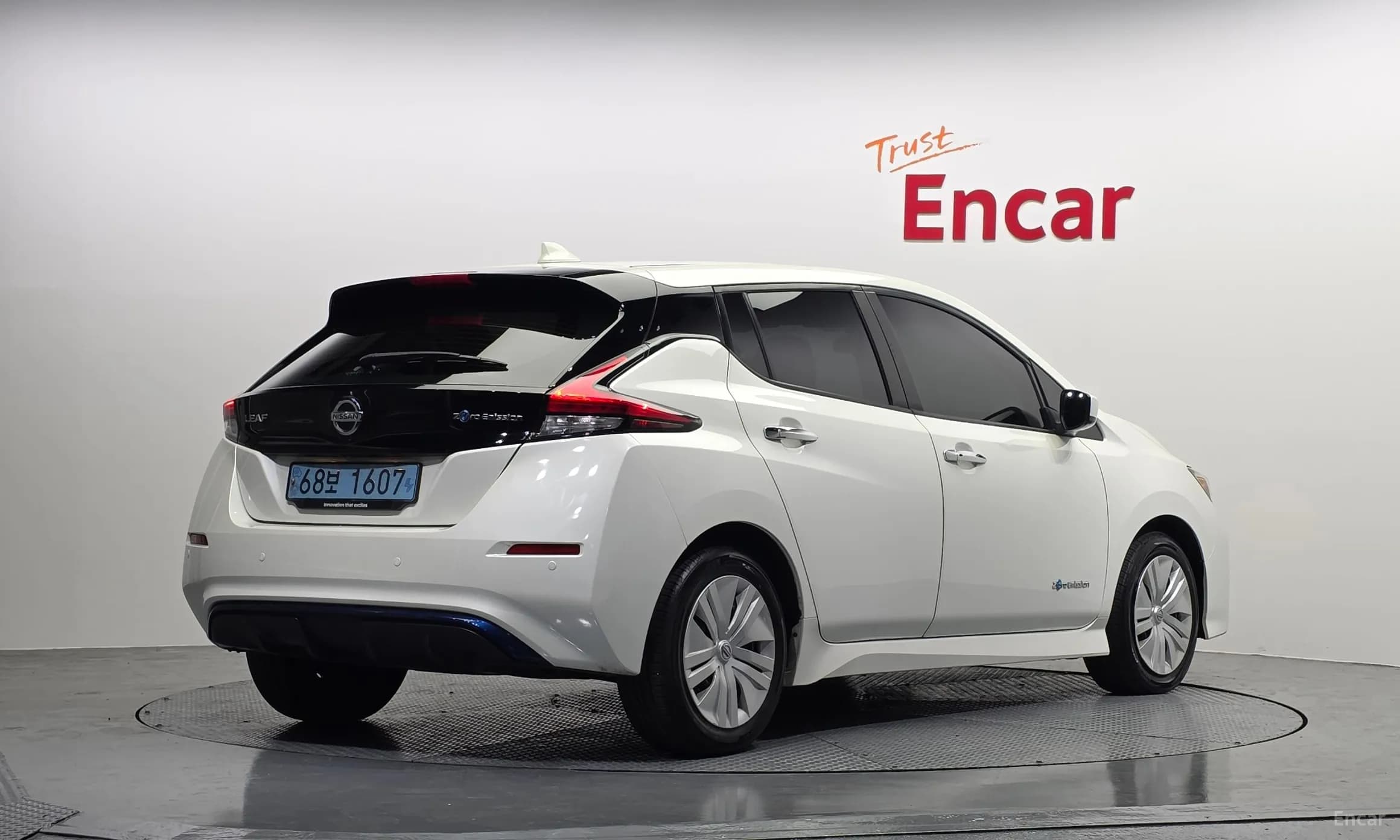 Leaf (ZE1)