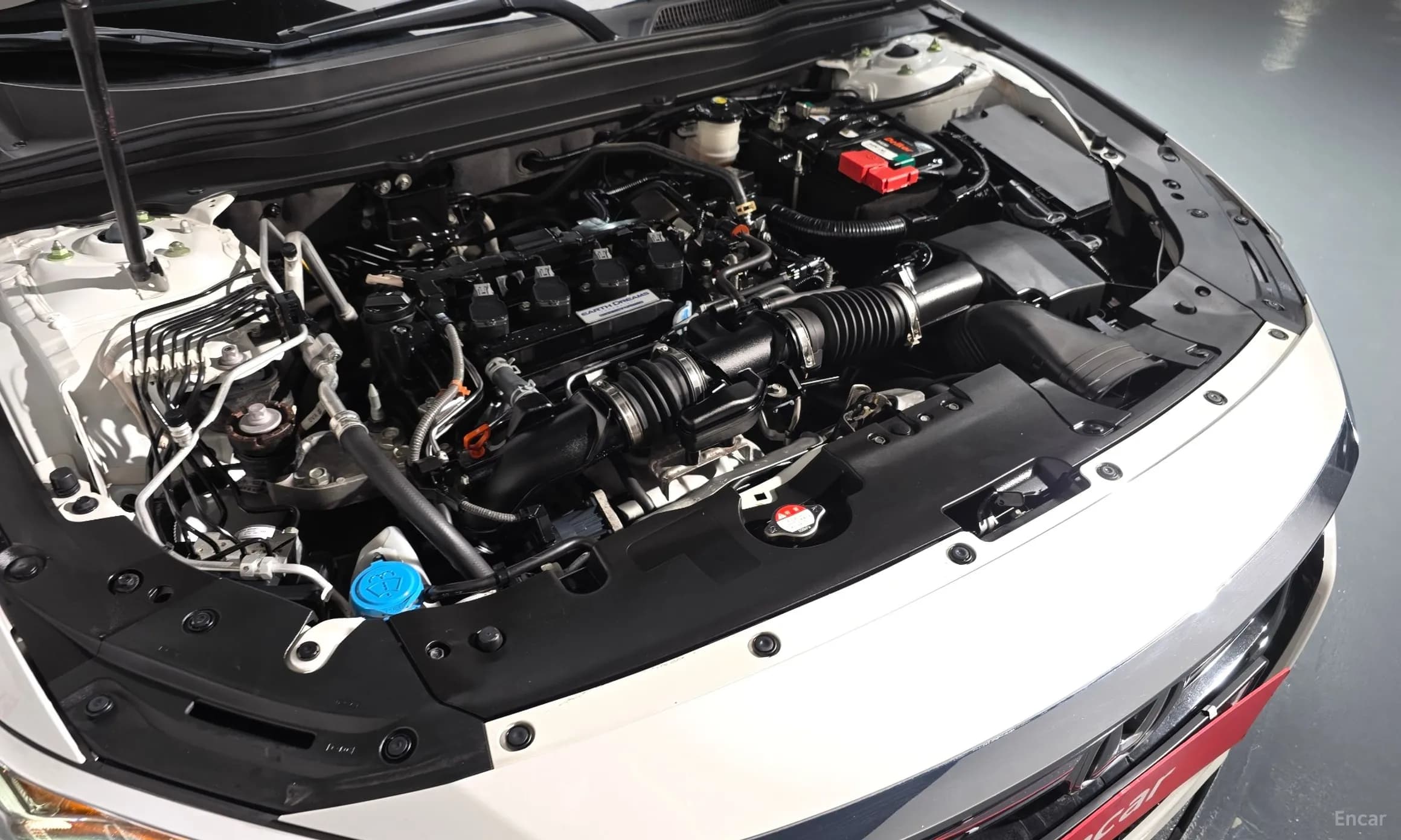 Accord 10th Generation