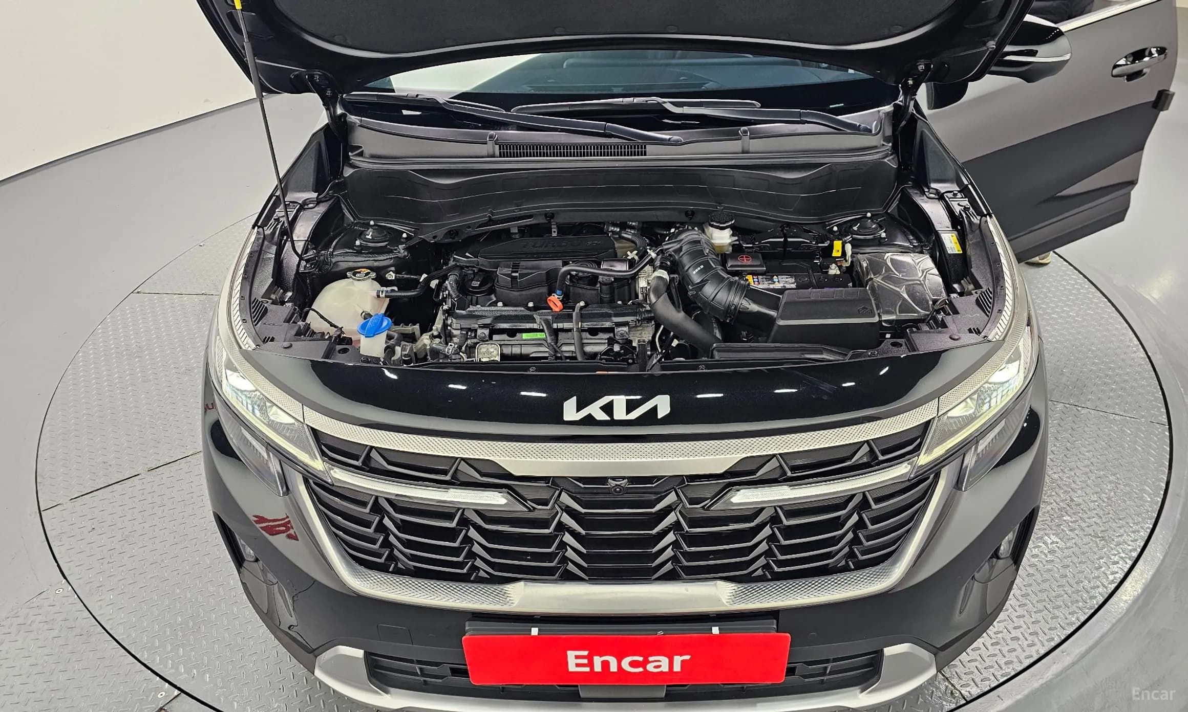 Seltos