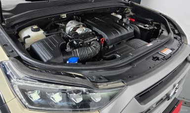 Rexton Sports