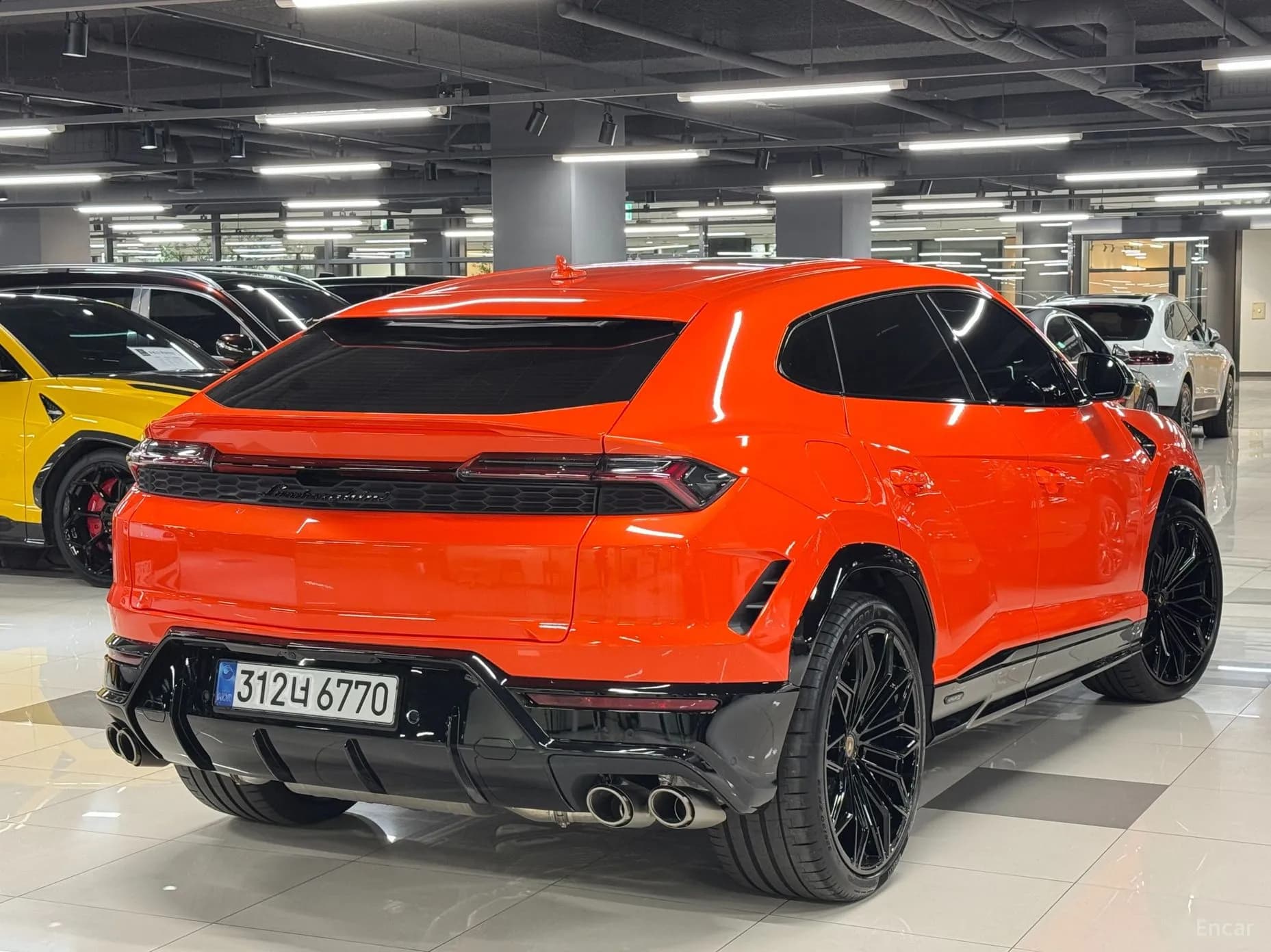 Urus