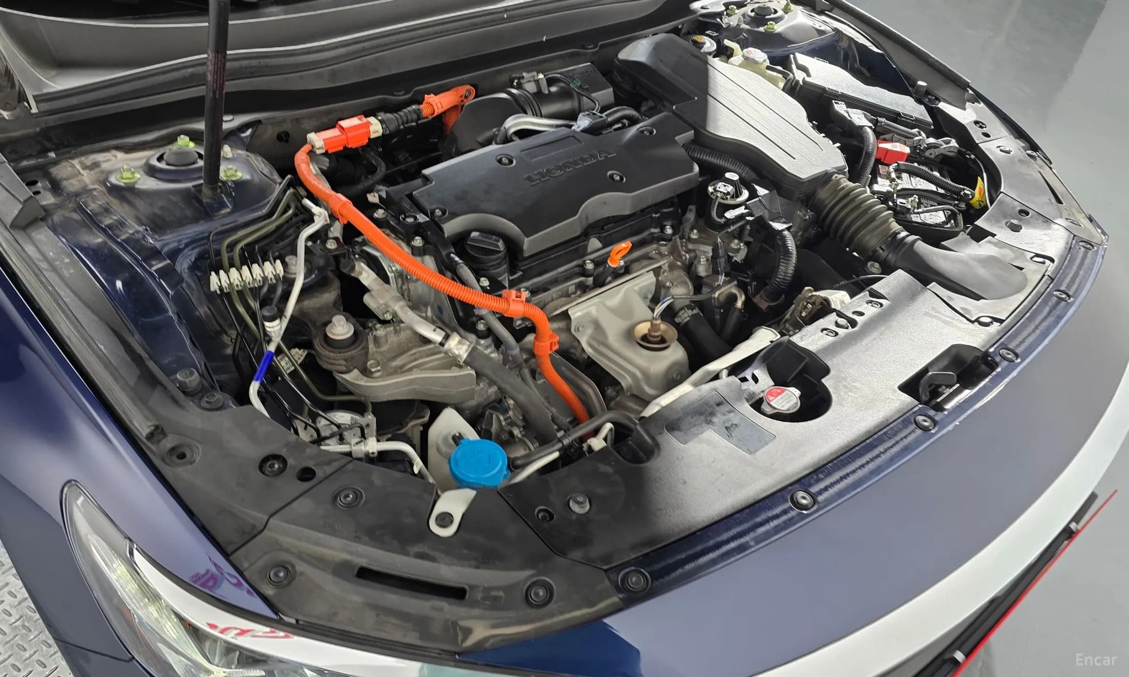 Accord 10th Generation