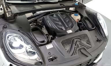 Macan