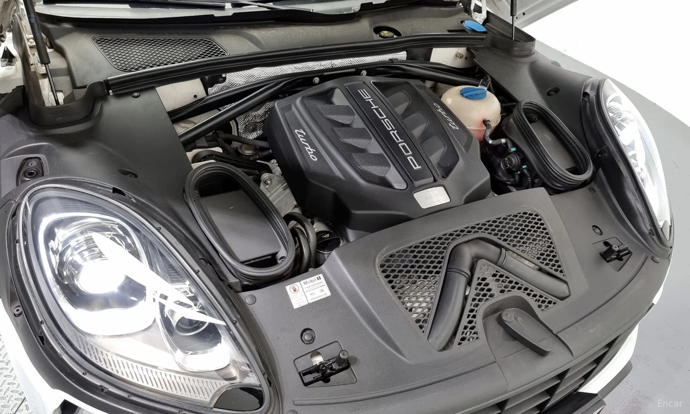 Macan