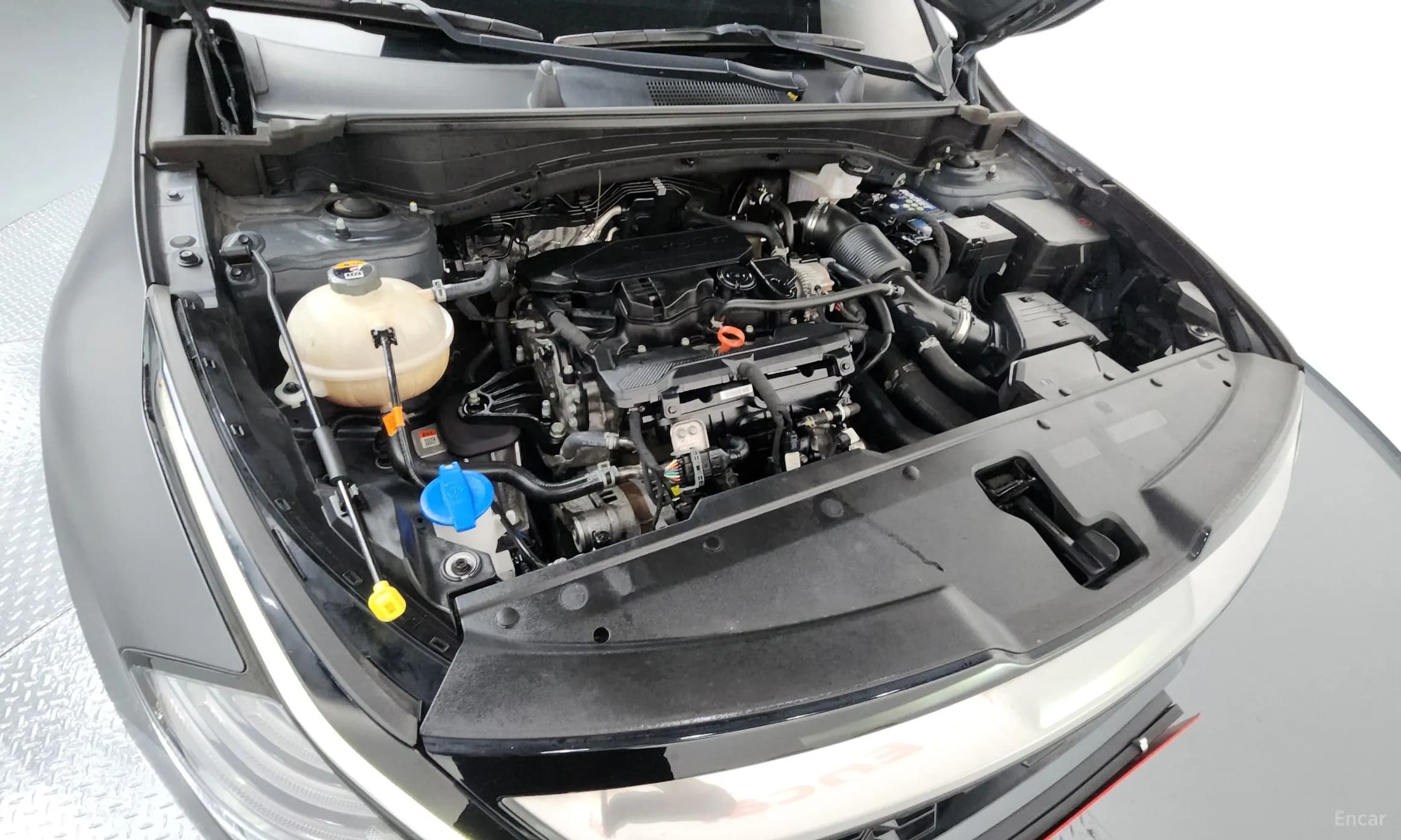 Sportage 5th Generation