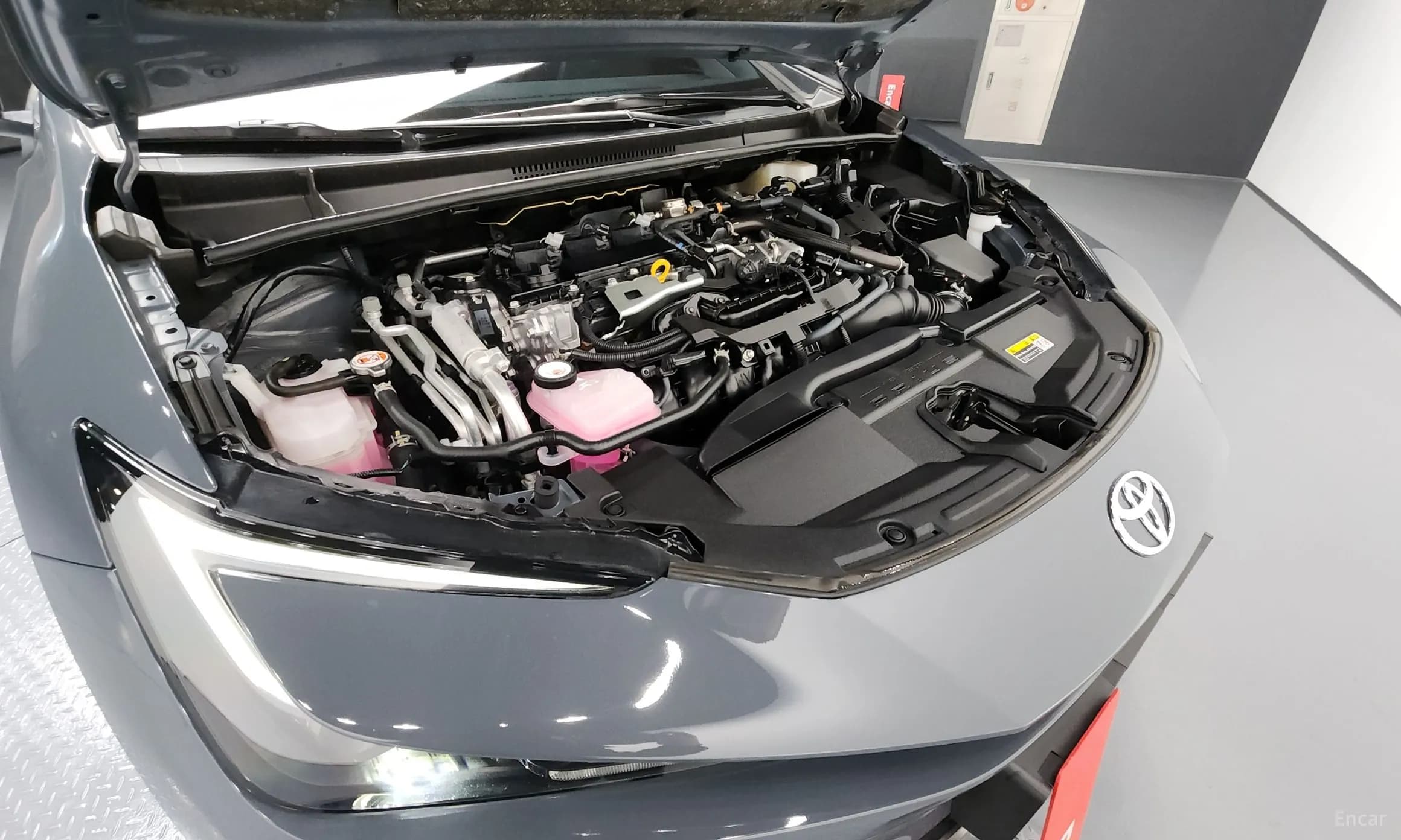 Prius 5th Generation