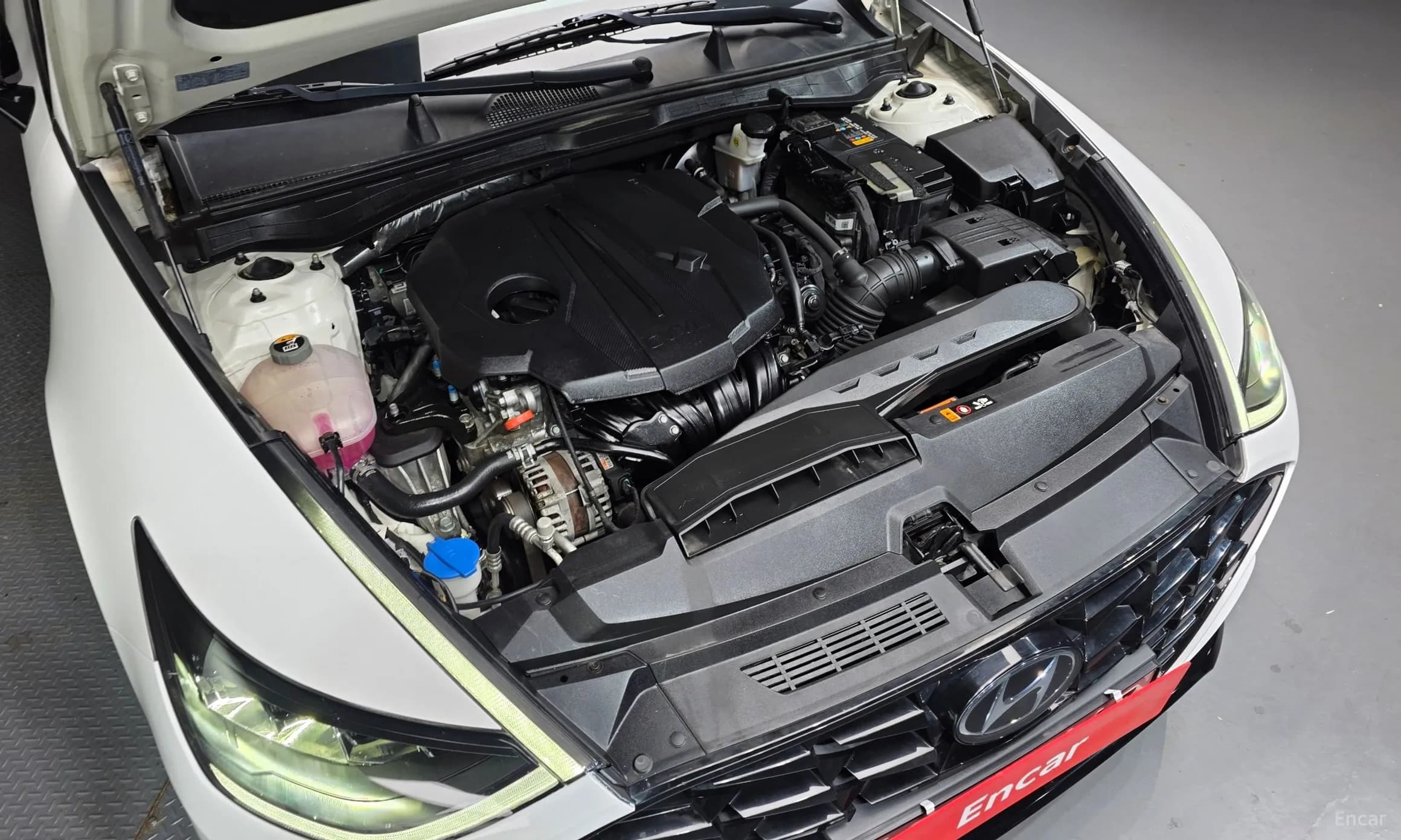 Sonata (DN8)