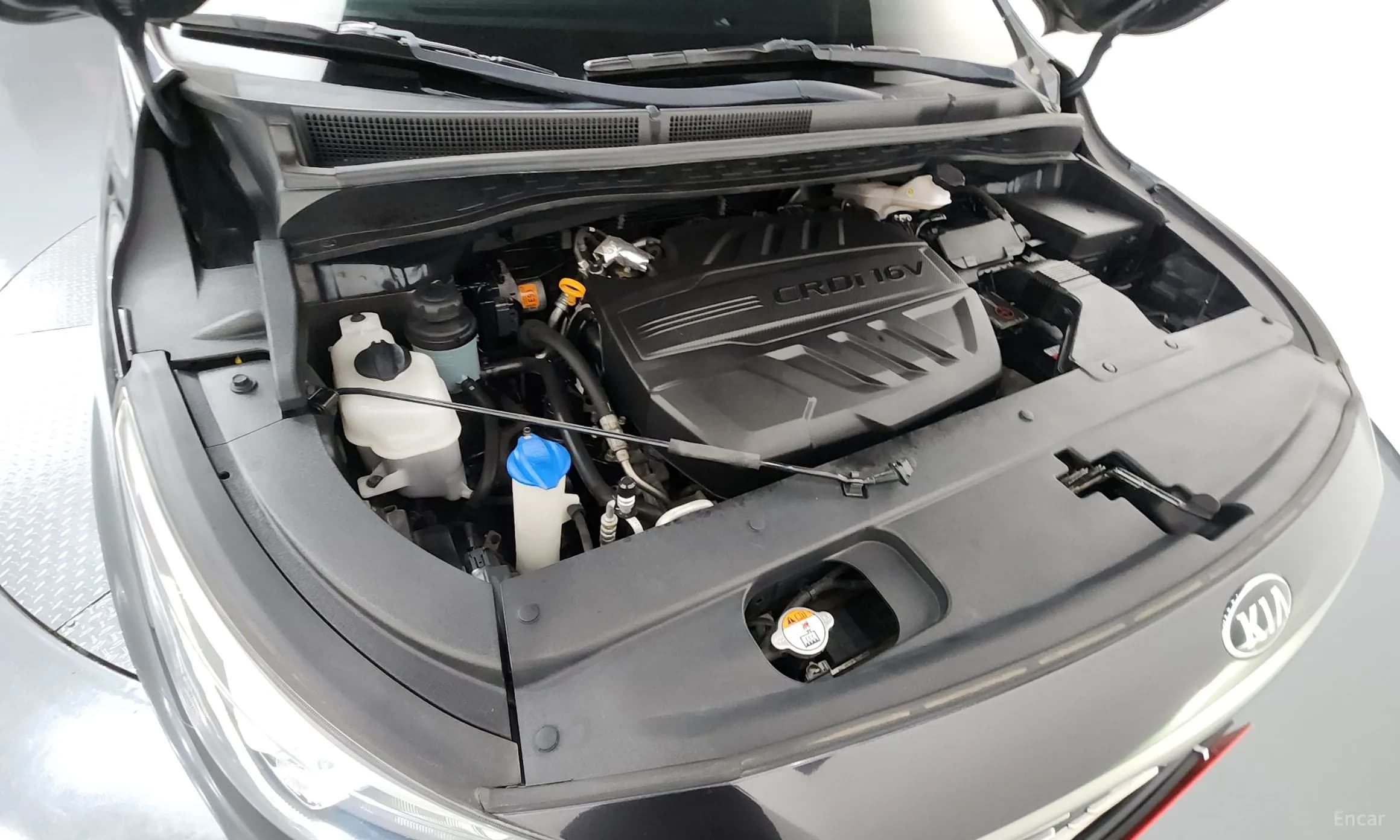 Carnival