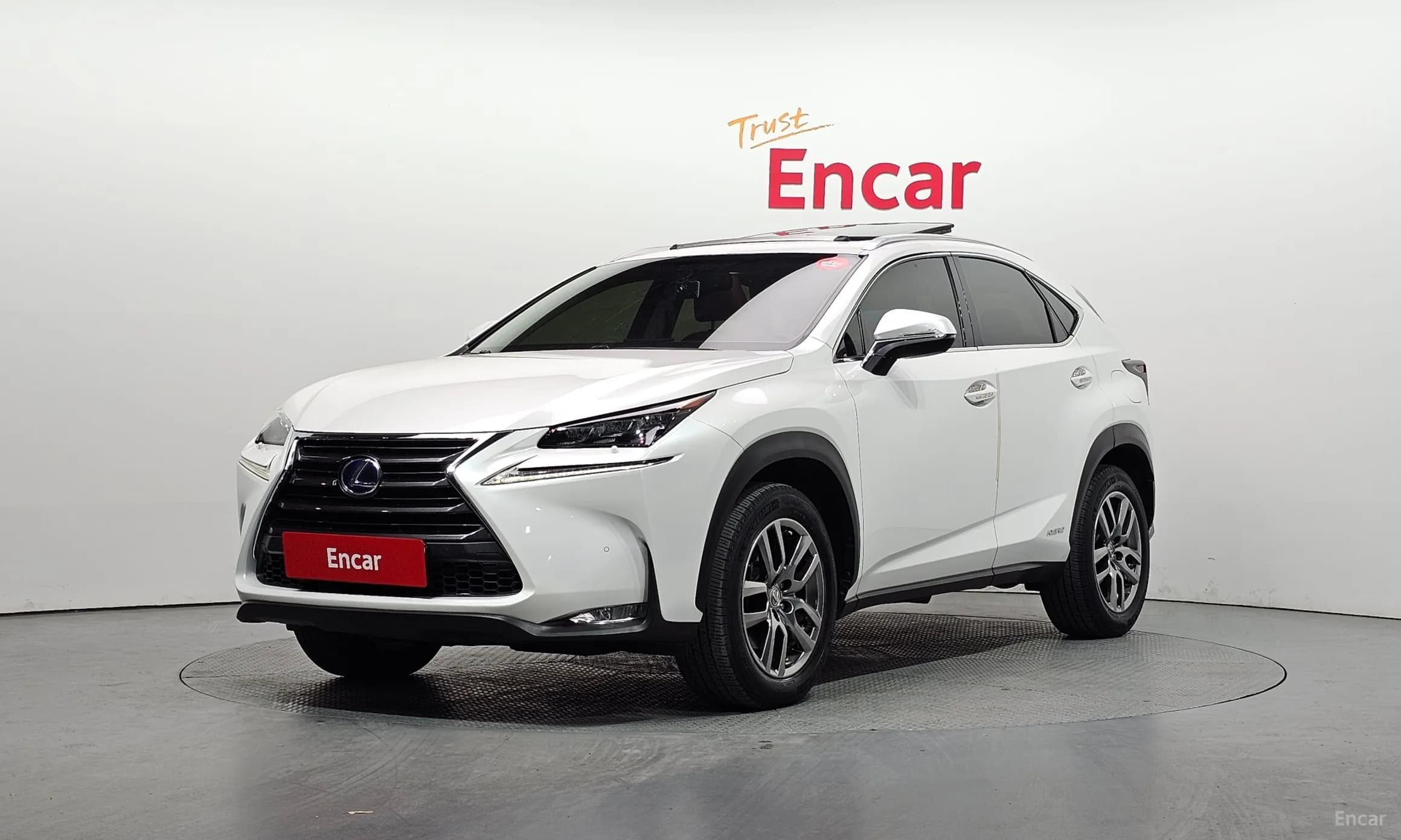 NX300h