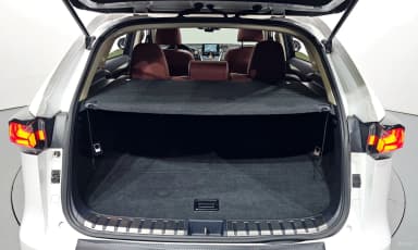 NX300h