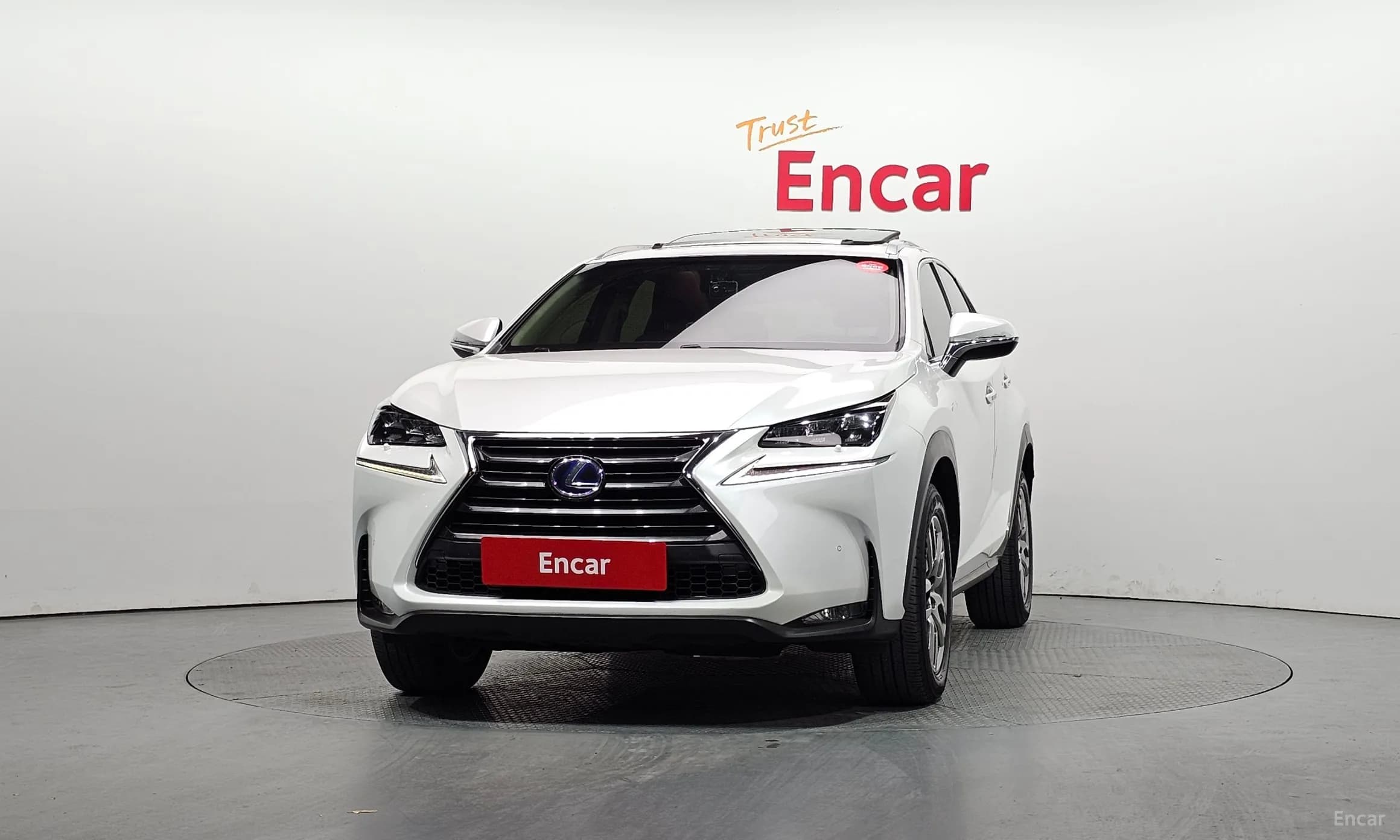 NX300h