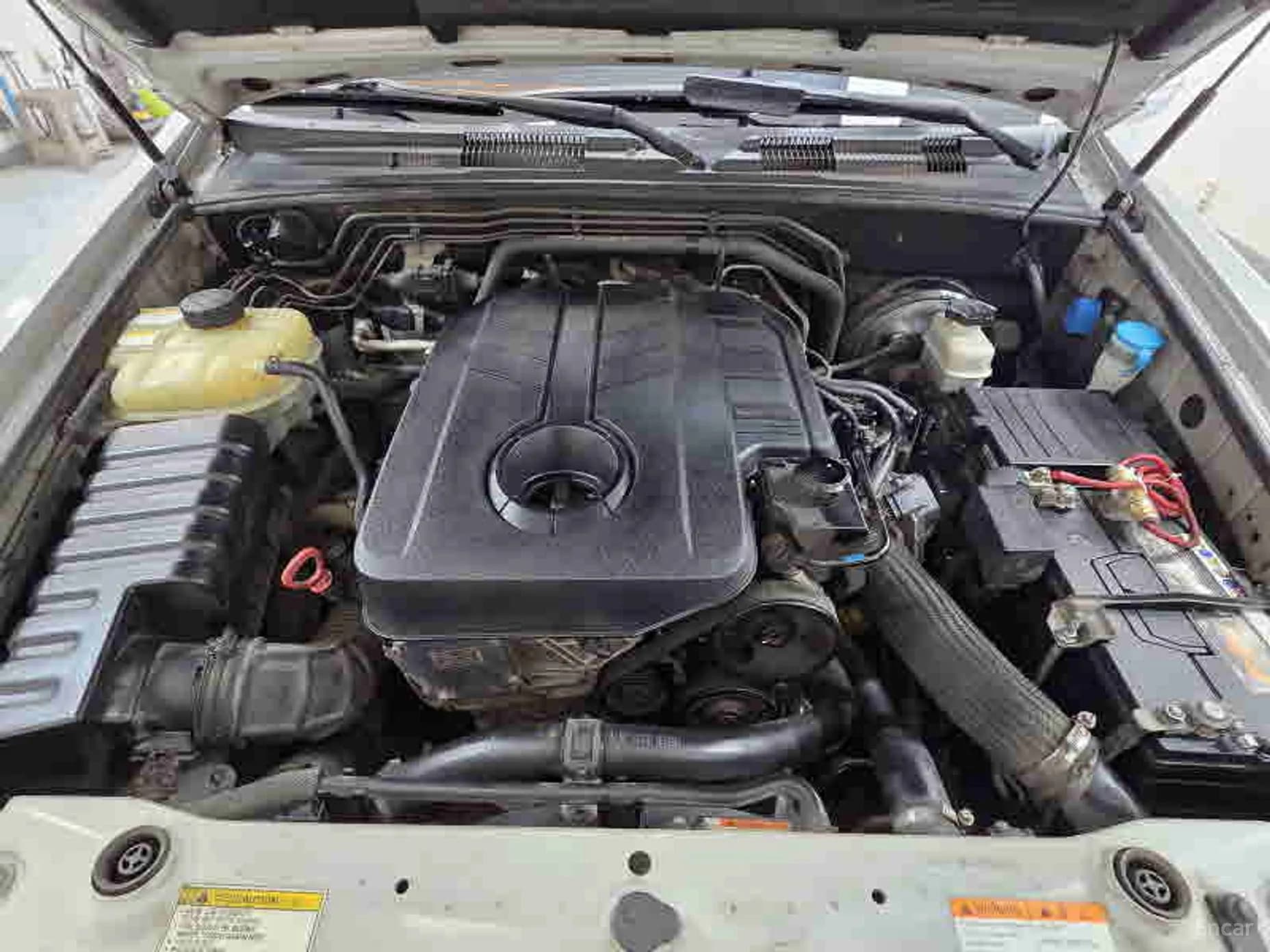 Rexton W