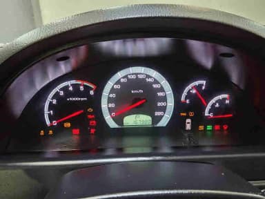 Rexton W
